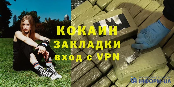PSILOCYBIN Покачи