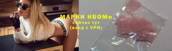 стафф Алзамай