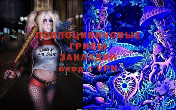 бошки Алексеевка