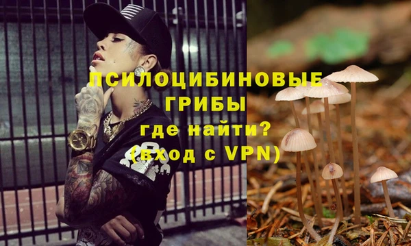 стафф Алзамай