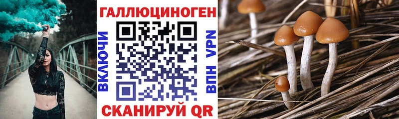 Галлюциногенные грибы Psilocybe  где продают   omg tor  Еманжелинск 